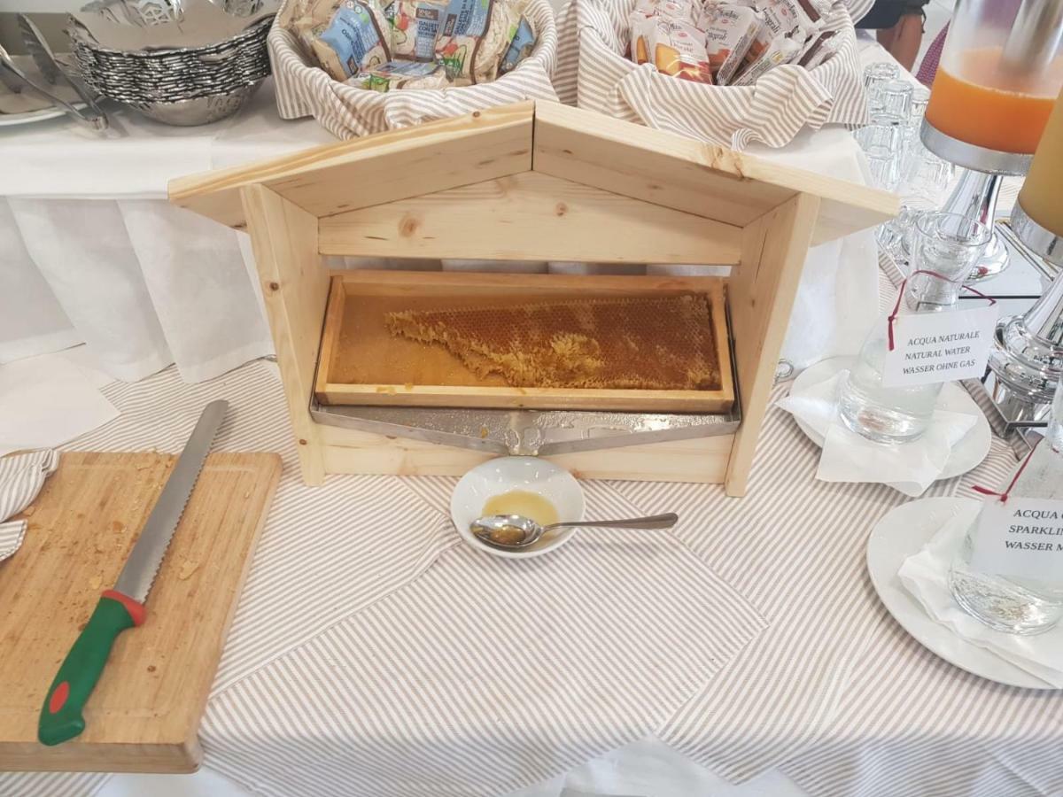 Hotel Helvetia 리그나노 사비아도로 외부 사진